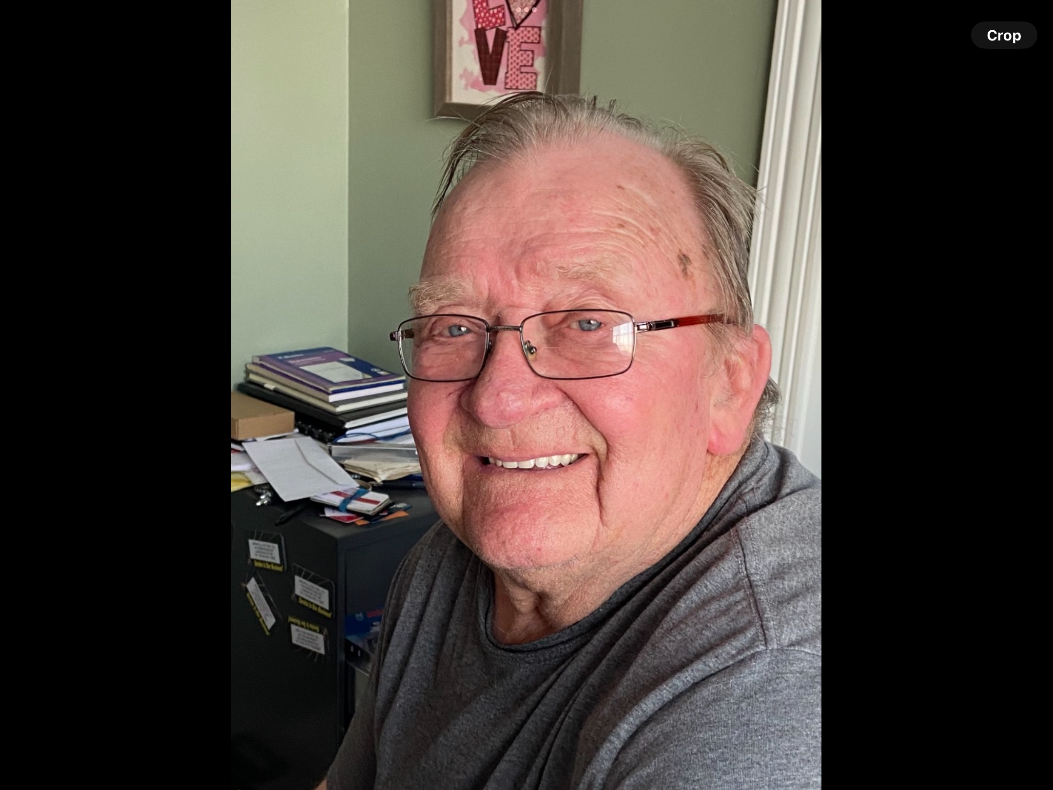 Dicks, Steadman by Linda Dicks image