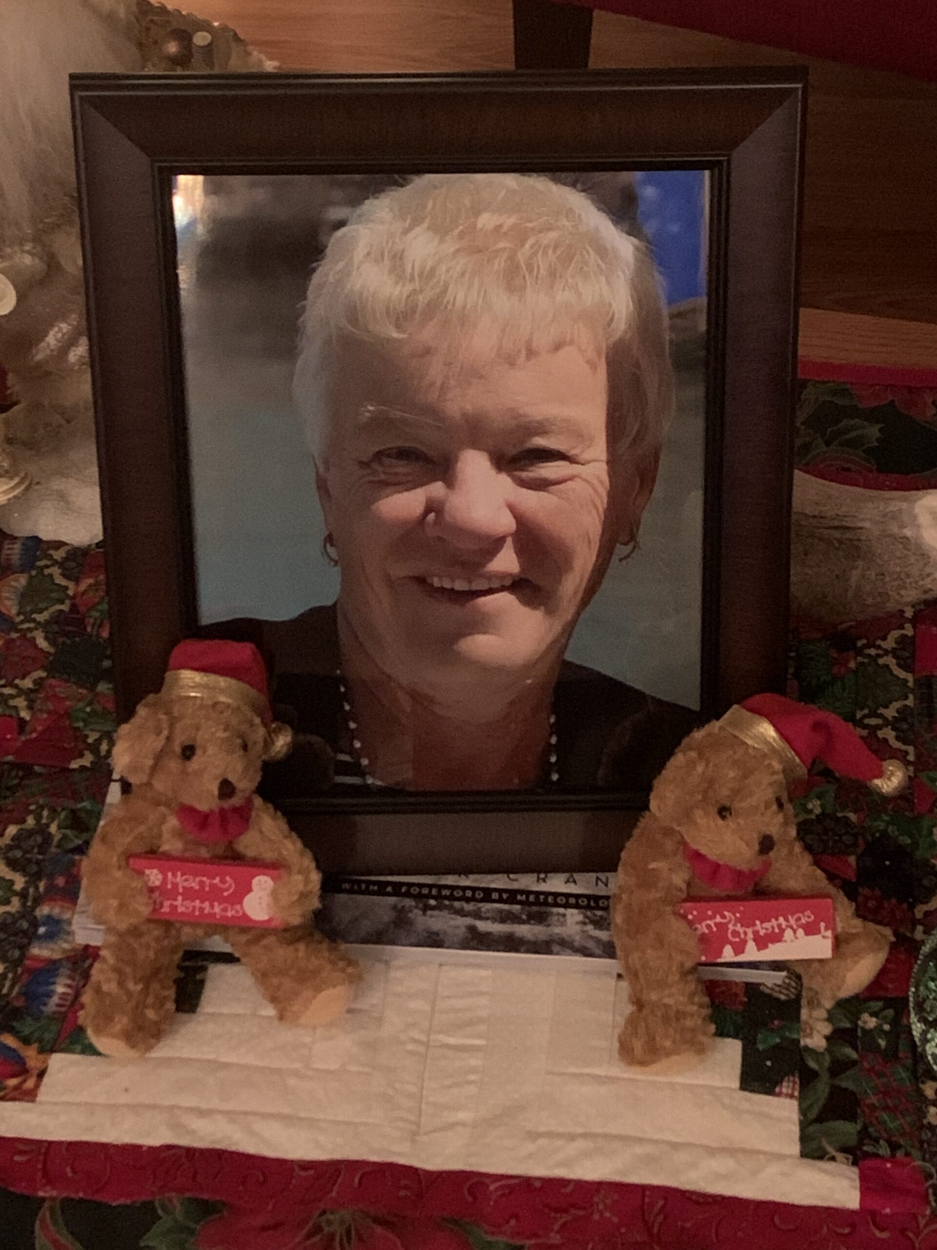 Moulton, Anne by Aileen Harte image