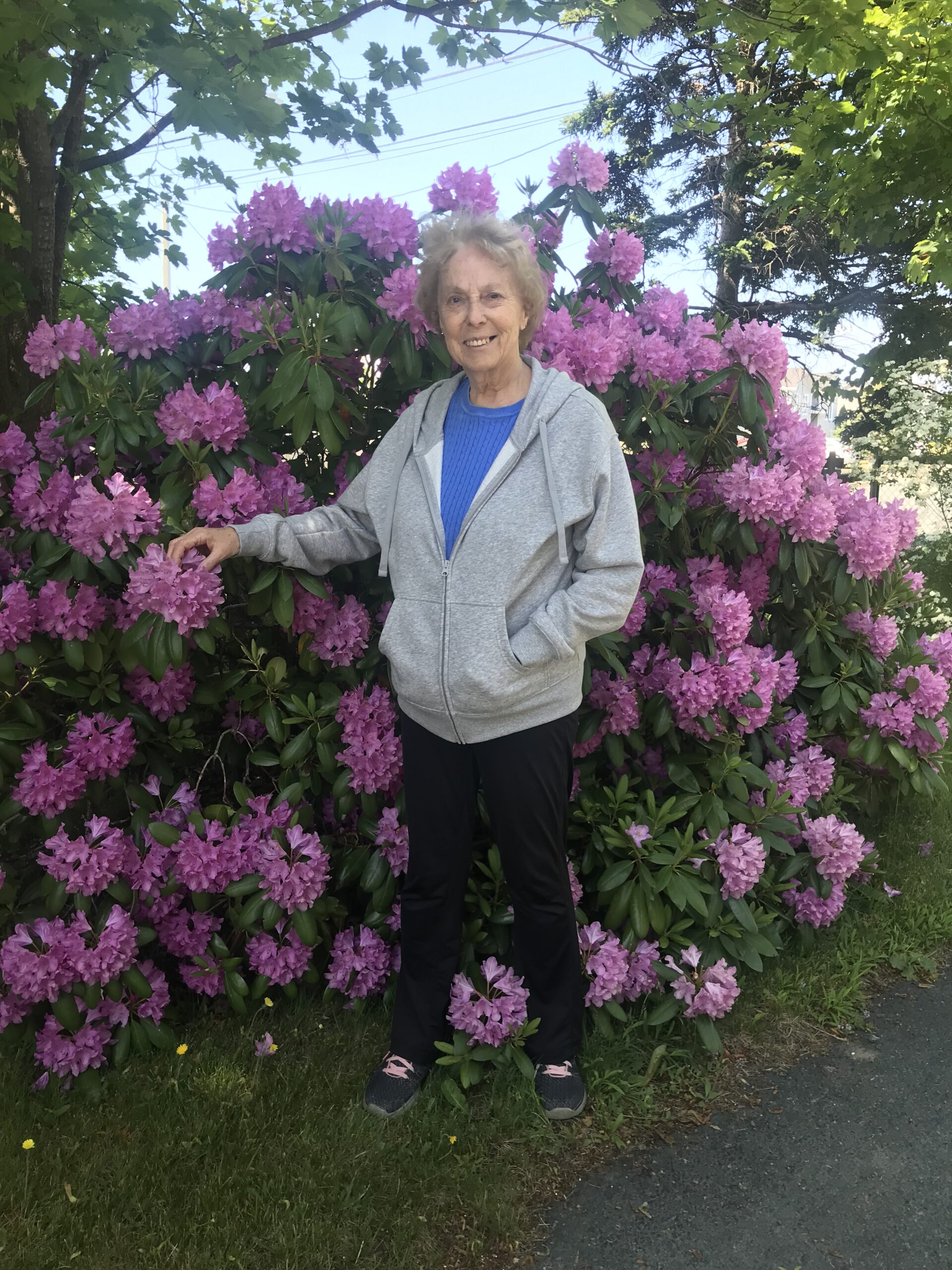 Fowler, Maxine by Tracy Taylor image