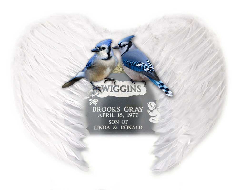 Wiggins, Brooks Gray by Ron and Linda Wiggins image
