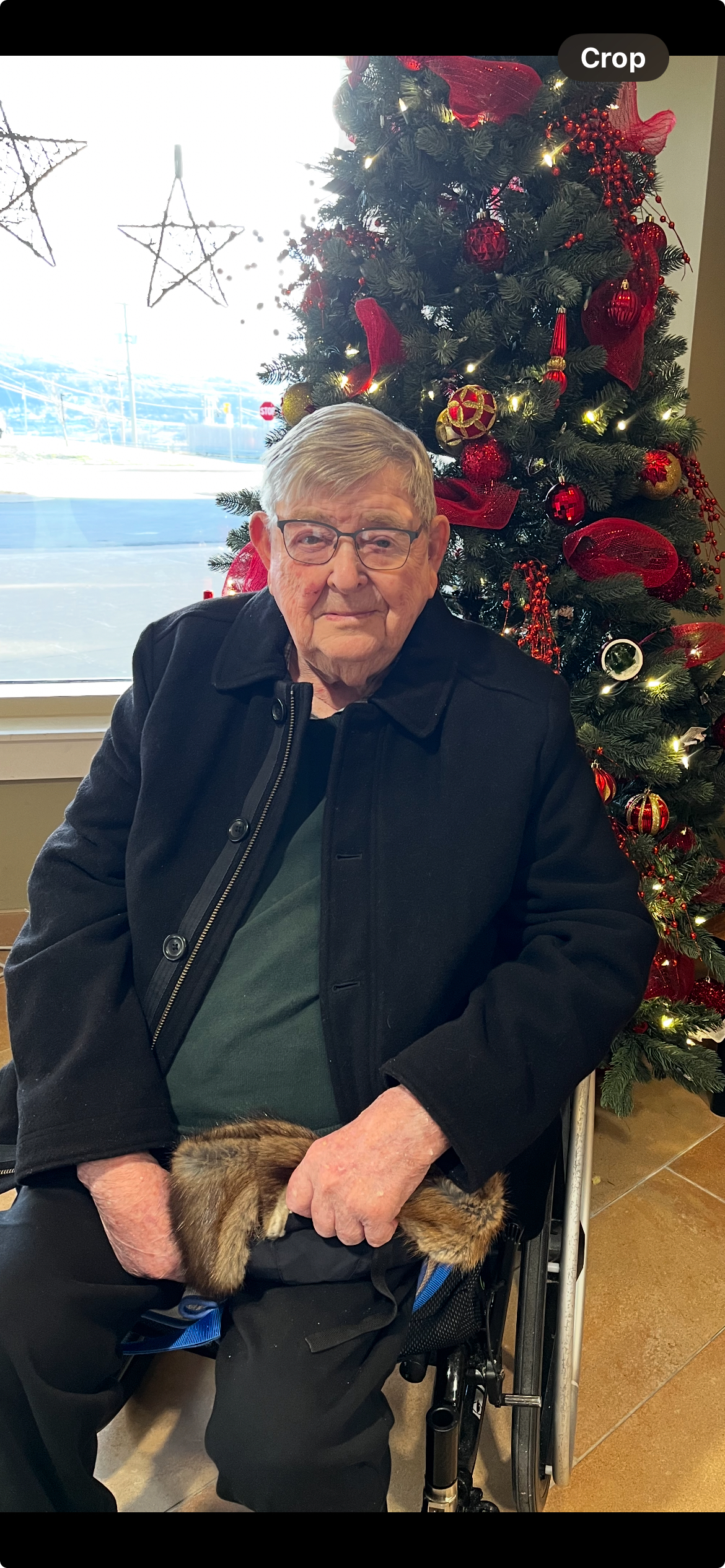 Gosling, Elias by Judy Flynn image