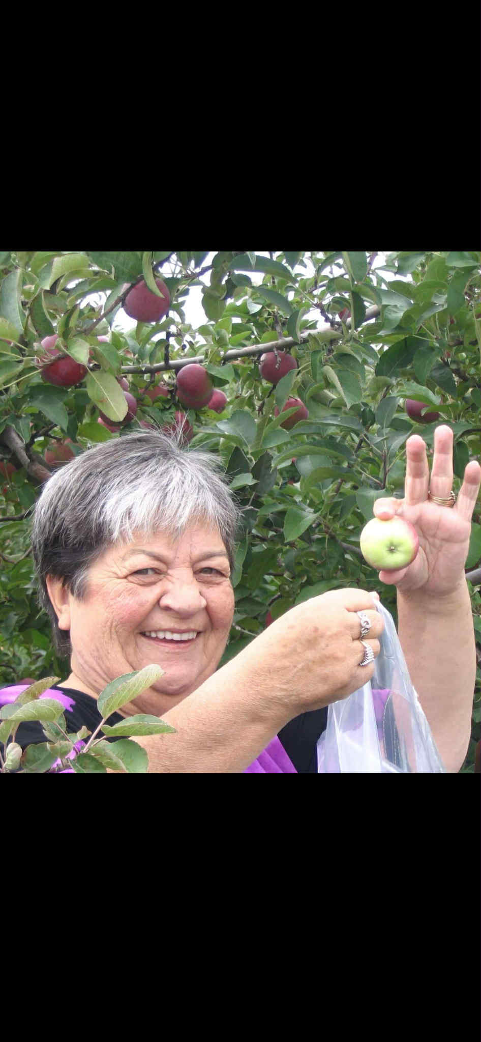 Shaw, Judy by Elizabeth Field image