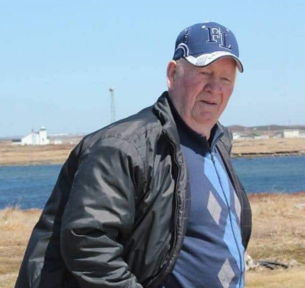 Hillier, Donald by Donna Hillier image